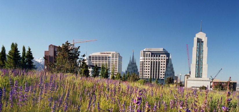 Roof Gardens