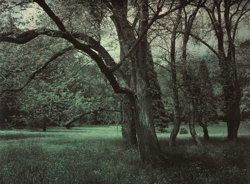 Rusia prerrevolucionaria en las primeras fotografías en color de la década de 1910 por Pyotr Vedenisov Rusia prerrevolucionaria en las primeras fotografías en color de la década de 1910 por Pyotr Vedenisov