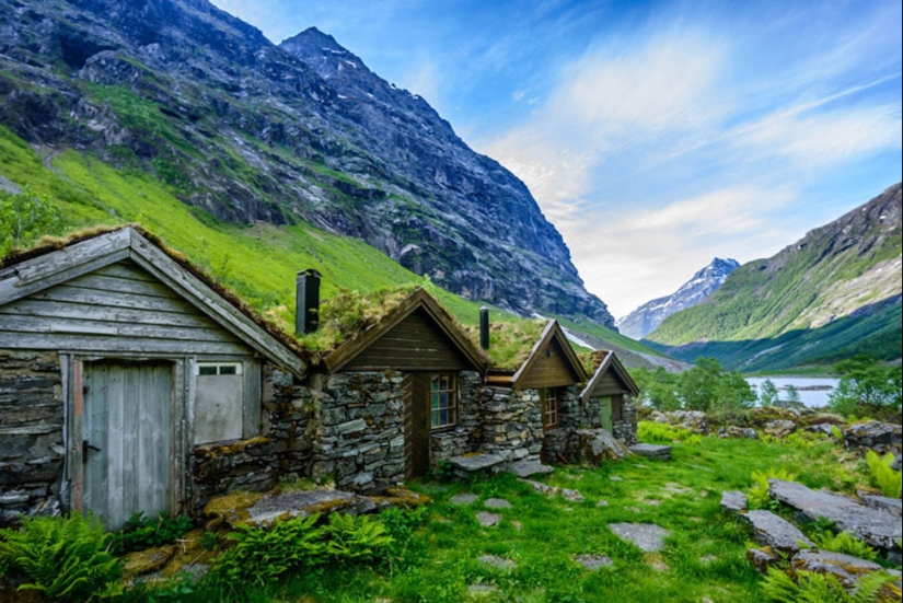 Scandinavian houses with an overgrown roof, in which you want to settle immediately Scandinavian houses with an overgrown roof, in which you want to settle immediately