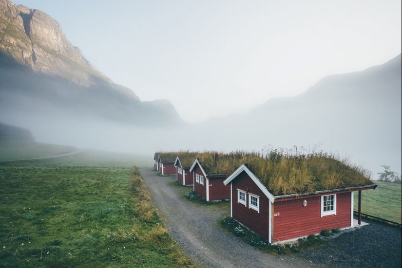 Scandinavian houses with an overgrown roof, in which you want to settle immediately Scandinavian houses with an overgrown roof, in which you want to settle immediately