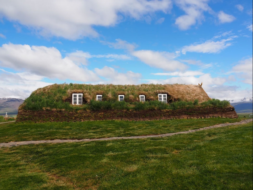Scandinavian houses with an overgrown roof, in which you want to settle immediately Scandinavian houses with an overgrown roof, in which you want to settle immediately