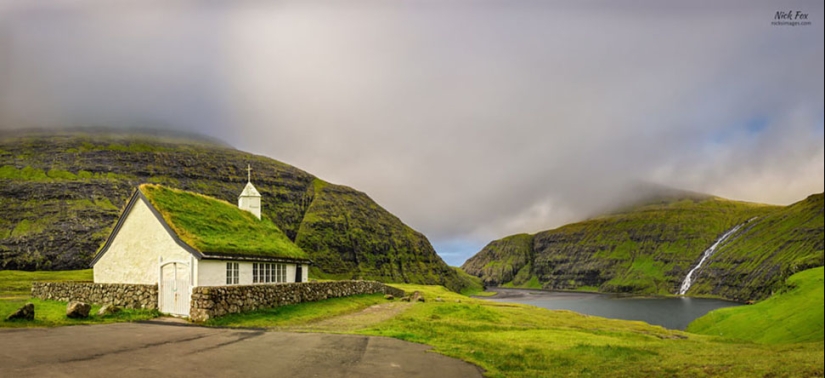 Scandinavian houses with an overgrown roof, in which you want to settle immediately Scandinavian houses with an overgrown roof, in which you want to settle immediately