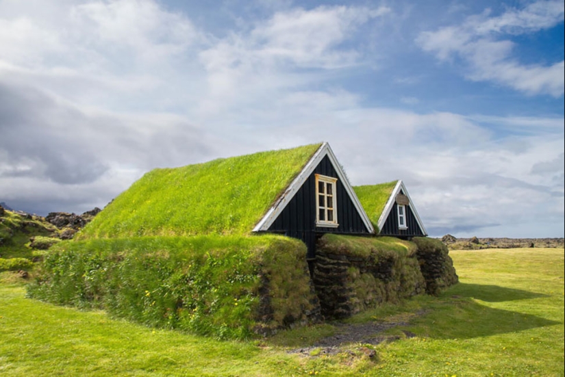 Scandinavian houses with an overgrown roof, in which you want to settle immediately Scandinavian houses with an overgrown roof, in which you want to settle immediately