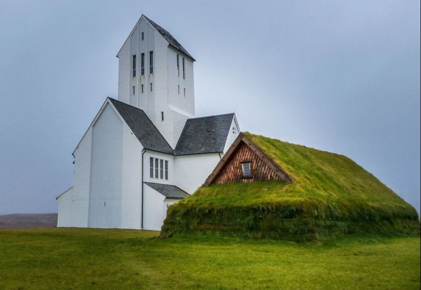 Scandinavian houses with an overgrown roof, in which you want to settle immediately Scandinavian houses with an overgrown roof, in which you want to settle immediately