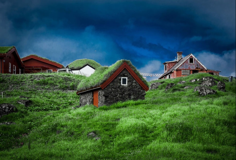 Scandinavian houses with an overgrown roof, in which you want to settle immediately Scandinavian houses with an overgrown roof, in which you want to settle immediately