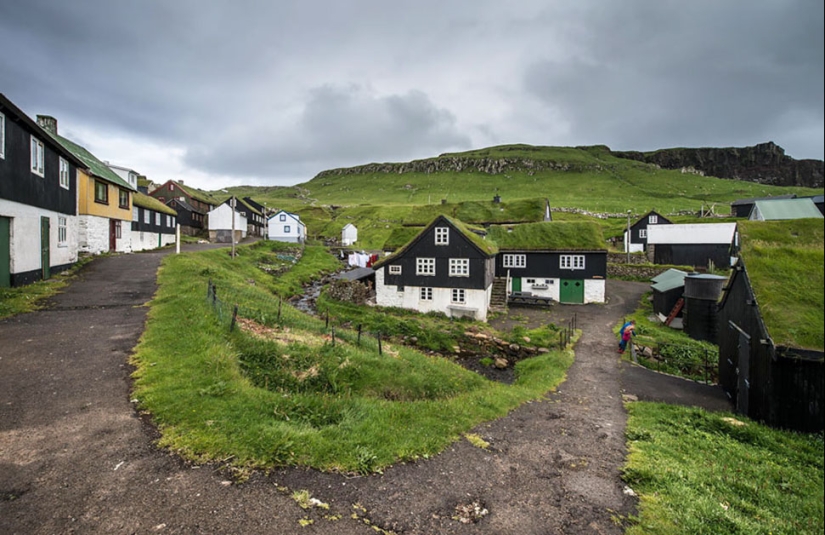 Scandinavian houses with an overgrown roof, in which you want to settle immediately Scandinavian houses with an overgrown roof, in which you want to settle immediately