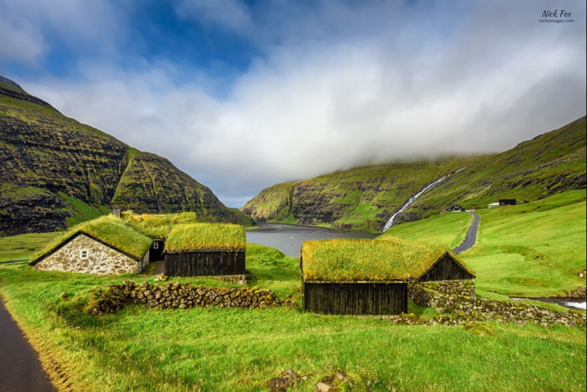 Scandinavian houses with an overgrown roof, in which you want to settle immediately Scandinavian houses with an overgrown roof, in which you want to settle immediately