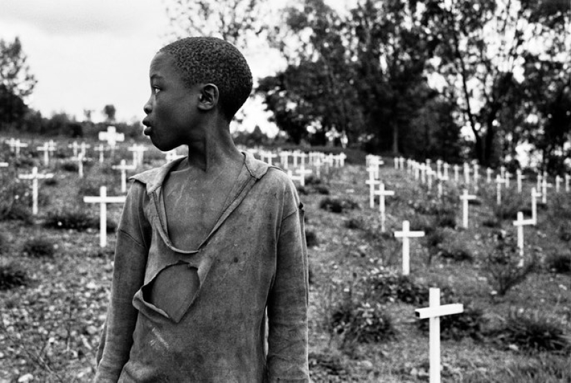 Schindler&#39;s Witch: The woman who saved hundreds of lives from genocide