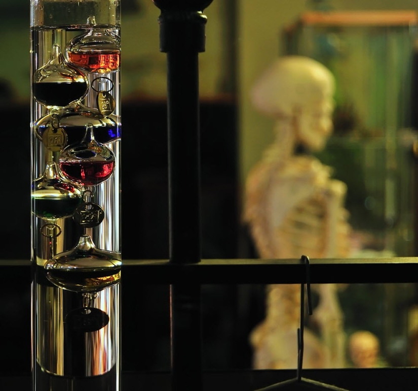 Scientific Beauty: Galileo's Thermometer