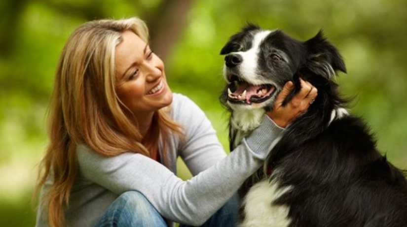 Scientists Explain Why You Should Wash Your Hands After Any Contact With Animals Scientists Explain Why You Should Wash Your Hands After Any Contact With Animals