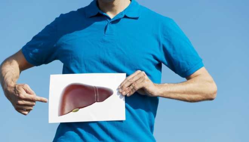 Scientists have found an eternally young organ in humans Scientists have found an eternally young organ in humans