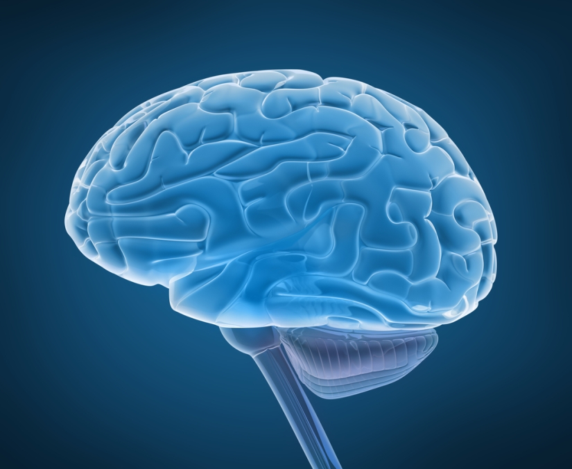 Scientists have refuted the 10 popular myths