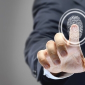 Scientists have revealed the secret of the appearance of fingerprints Scientists have revealed the secret of the appearance of fingerprints
