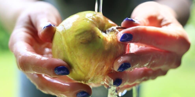Scientists told how to properly wash apples from the store Scientists told how to properly wash apples from the store