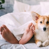 ¿Se puede dormir en la misma cama con un perro o un gato?