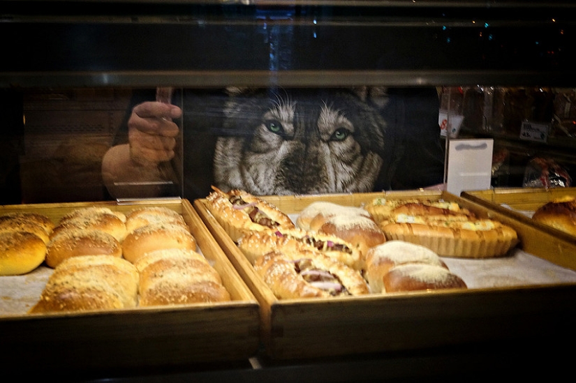 Seize the moment: the photographer who notices everything