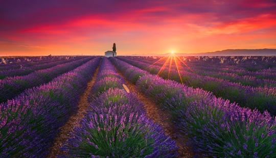 "Ser paciente con fotos": un fotógrafo profesional revela el secreto de tiros perfectos "Ser paciente con fotos": un fotógrafo profesional revela el secreto de tiros perfectos