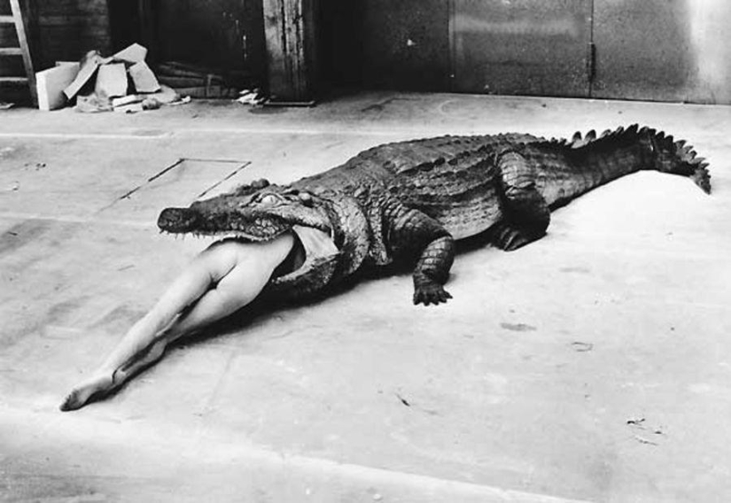 "Sex helps to sell — 20 scandalous works by Helmut Newton "Sex helps to sell — 20 scandalous works by Helmut Newton