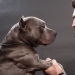 Shave immediately! According to scientific research, there are more microbes in a man's beard than in the hair of dogs Shave immediately! According to scientific research, there are more microbes in a man's beard than in the hair of dogs