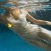 Significado más profundo: la increíble fotografía submarina de Barbara Cole Significado más profundo: la increíble fotografía submarina de Barbara Cole