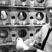 Skinner's experiment: what do superstitious people and pigeons have in common? Skinner's experiment: what do superstitious people and pigeons have in common?