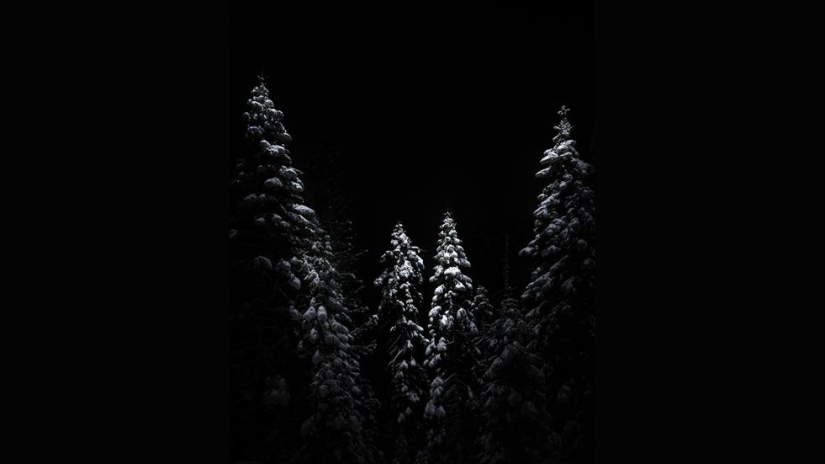 Slayer of darkness. Landscapes that night colorless Slayer of darkness. Landscapes that night colorless