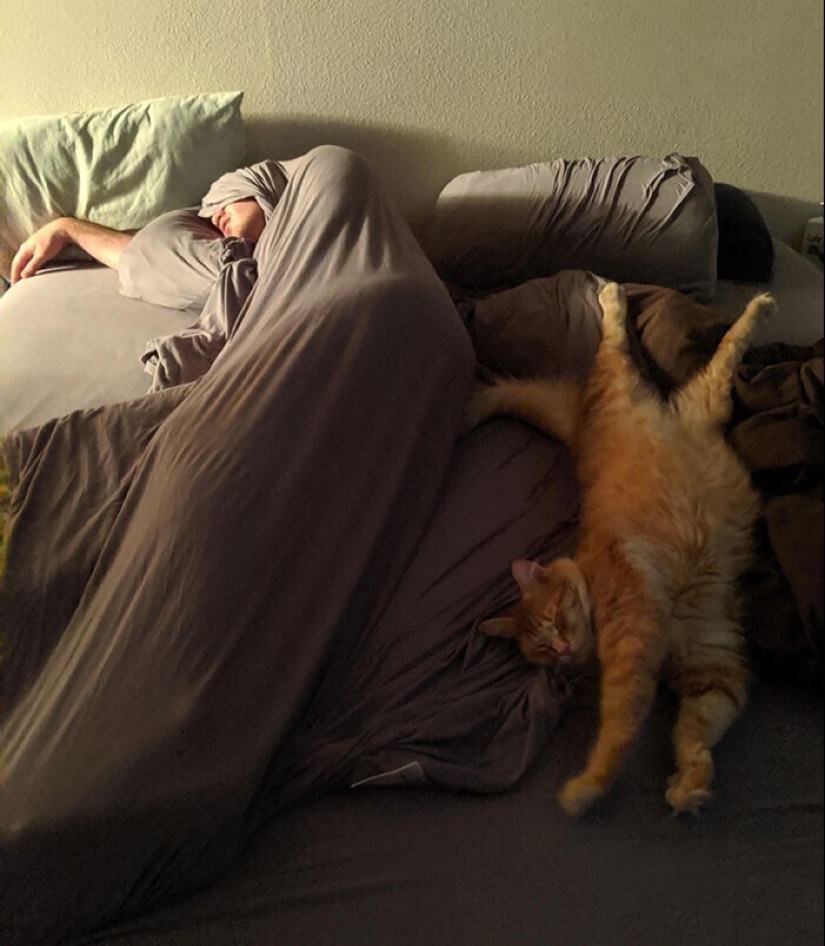 Sleep is sacred: people sleeping in the most ridiculous poses and locations Sleep is sacred: people sleeping in the most ridiculous poses and locations