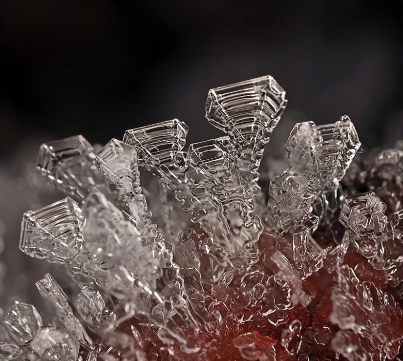 Snowflakes from photographer Andrey Osokin