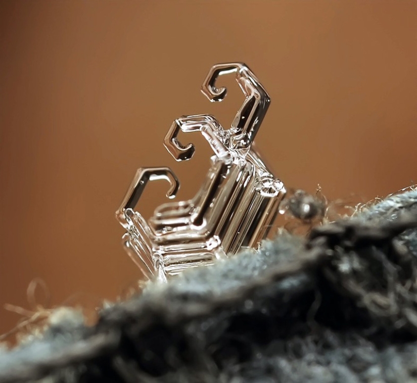 Snowflakes from photographer Andrey Osokin