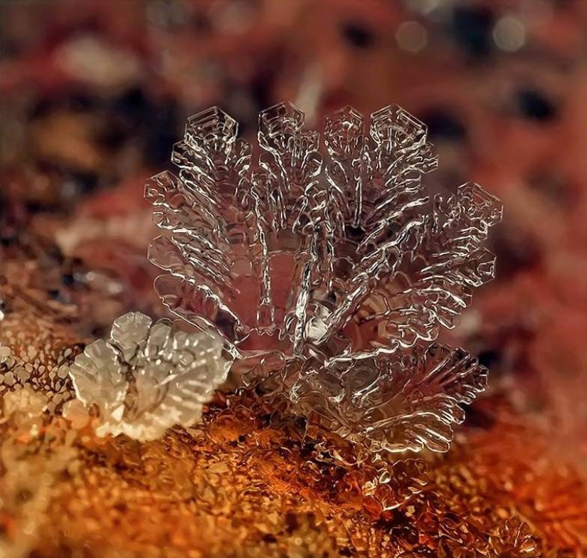 Snowflakes from photographer Andrey Osokin