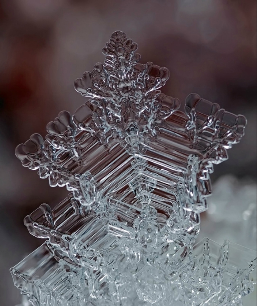 Snowflakes from photographer Andrey Osokin