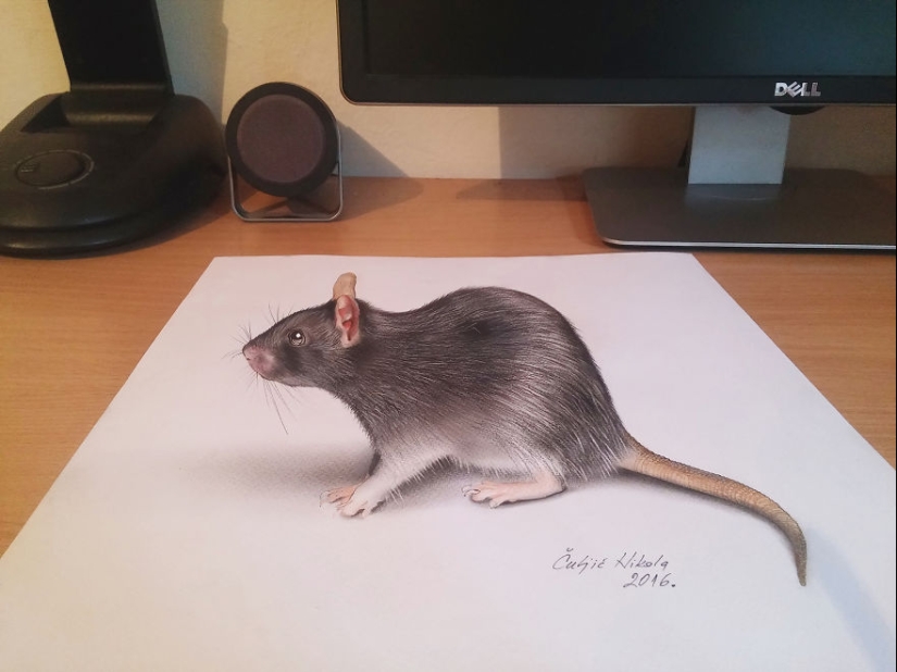 Solo quiero tocarlo: dibujos 3D hiperrealistas