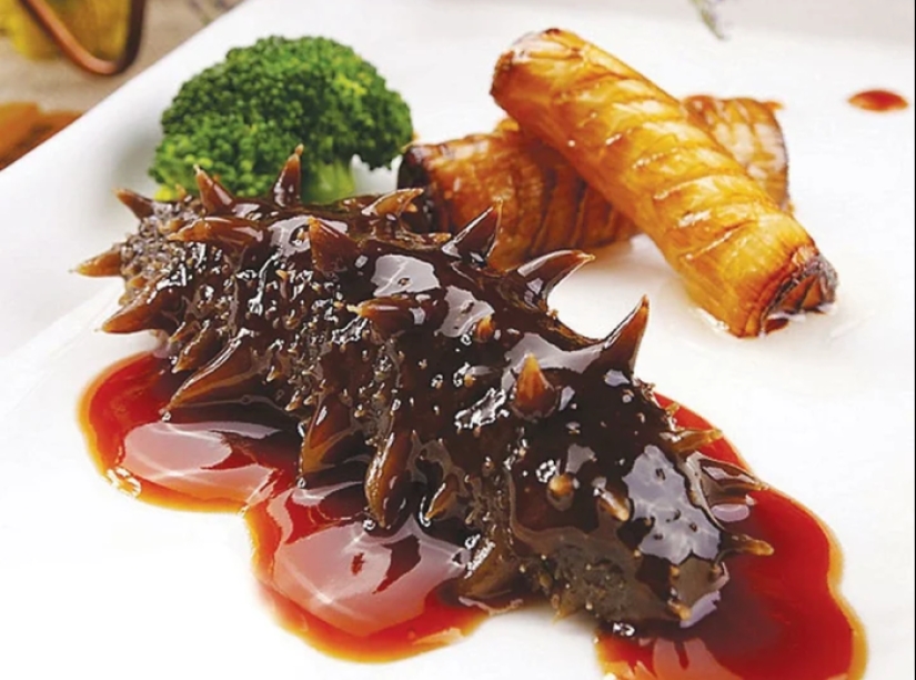 Spits own bodies and behaves like a suicide bomber: a fun life as a sea cucumber