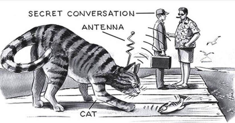 Spy Cat and the Moon Explosion: The secret plans of the Cold War Spy Cat and the Moon Explosion: The secret plans of the Cold War