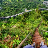 Stairway to Heaven: These photos will make your legs go weak! Stairway to Heaven: These photos will make your legs go weak!