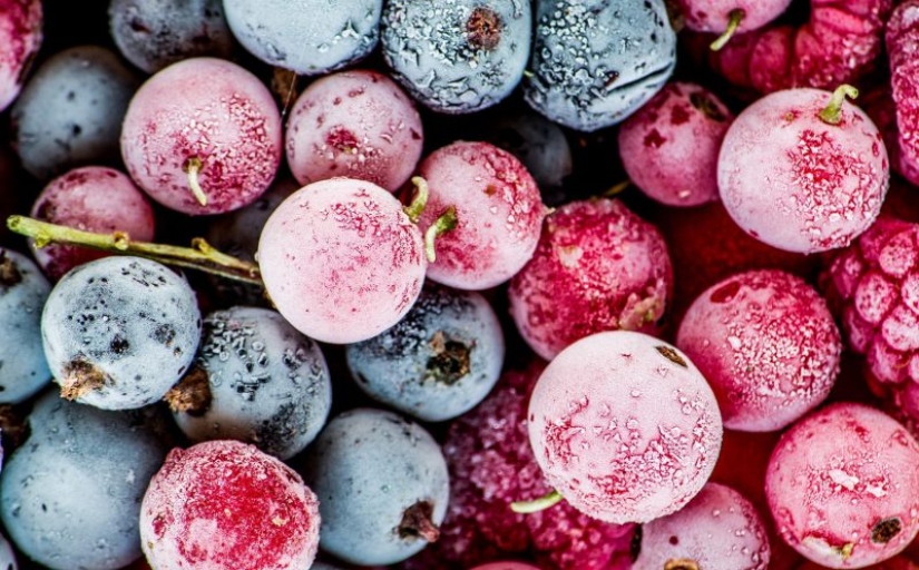 Stock up on vitamins: how to freeze berries and fruits