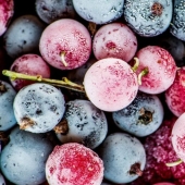 Stock up on vitamins: how to freeze berries and fruits Stock up on vitamins: how to freeze berries and fruits