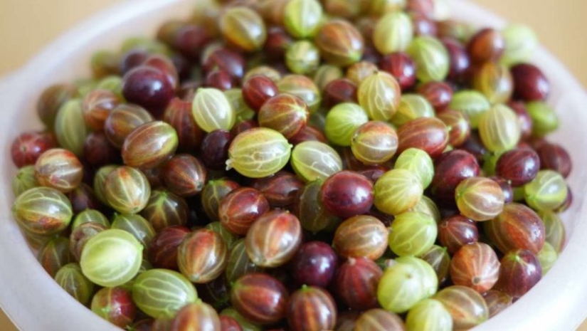 Stock up on vitamins: how to freeze berries and fruits