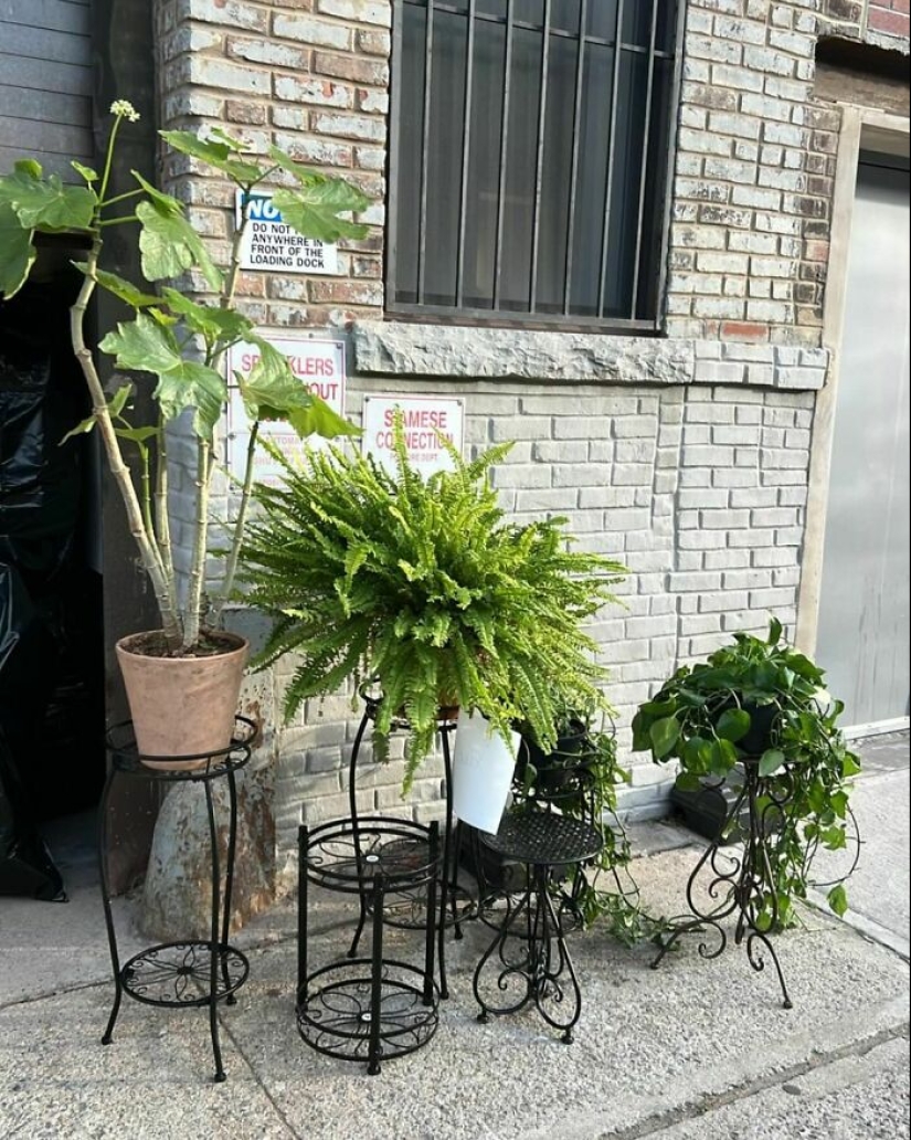 ‘Stooping NYC’: 17 Times People Left Treasures On The Curb For Others To Find