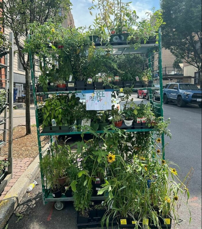 ‘Stooping NYC’: 17 Times People Left Treasures On The Curb For Others To Find