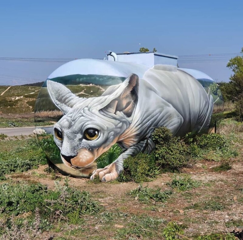 Street artist Tom Bragado Blanco and his stunning urban illusions