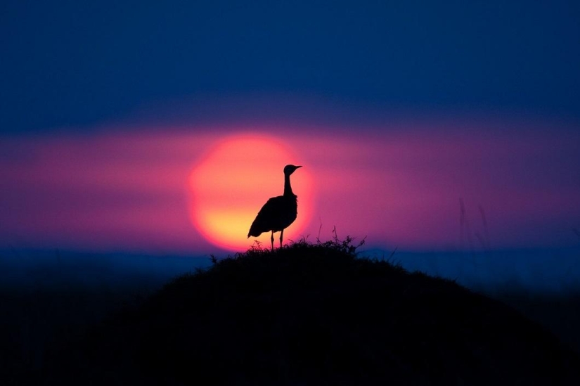 Stunning African sunsets by Paul Goldstein