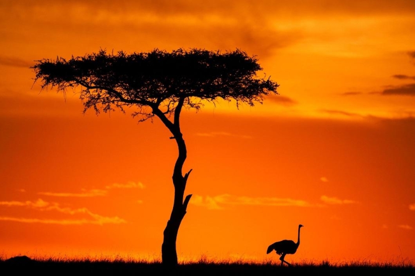 Stunning African sunsets by Paul Goldstein