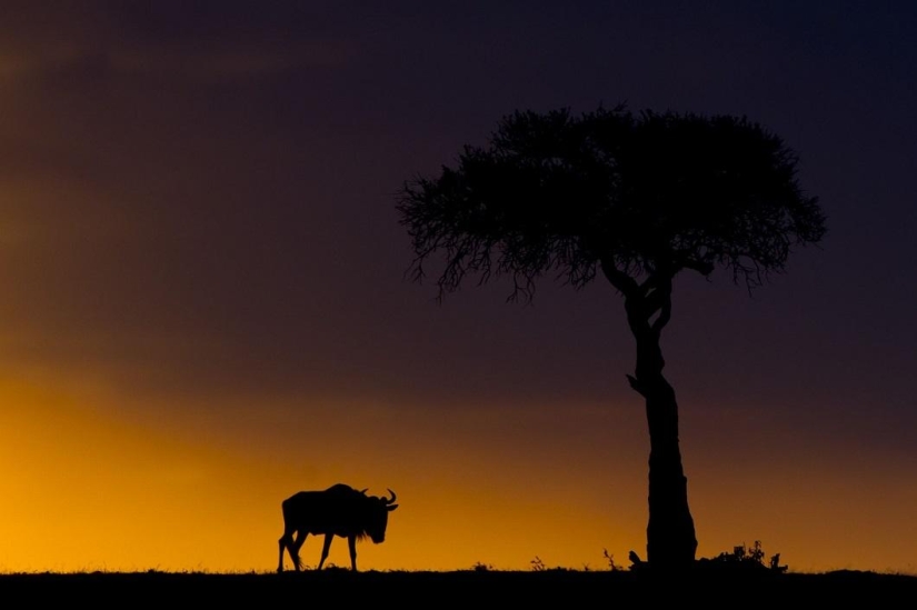 Stunning African sunsets by Paul Goldstein