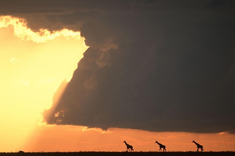 Stunning African sunsets by Paul Goldstein