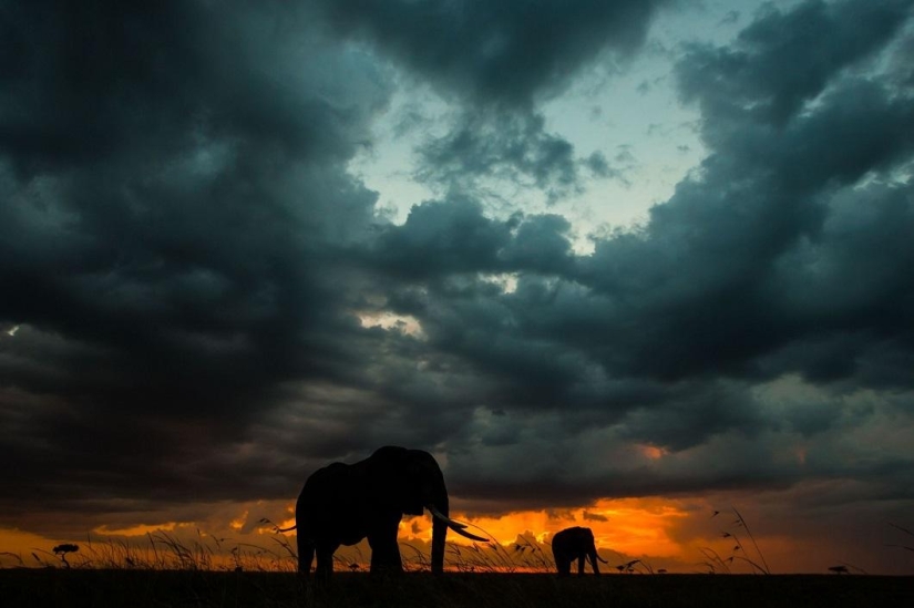 Stunning African sunsets by Paul Goldstein