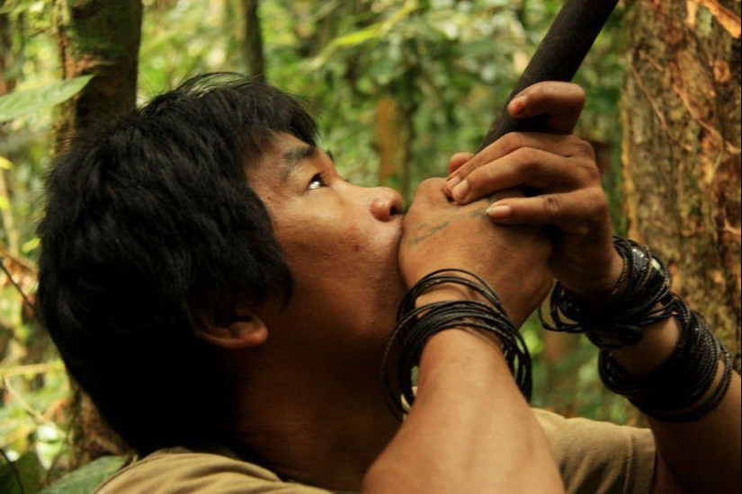 Stunning skills of the tribal peoples of the world Stunning skills of the tribal peoples of the world