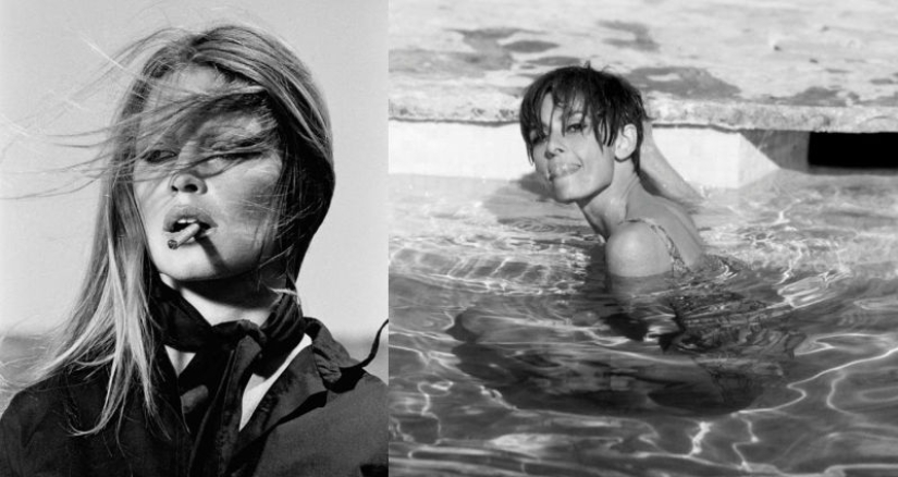 Superestrellas de la década de 1960, capturadas por el fotógrafo clásico Terry O'Neill