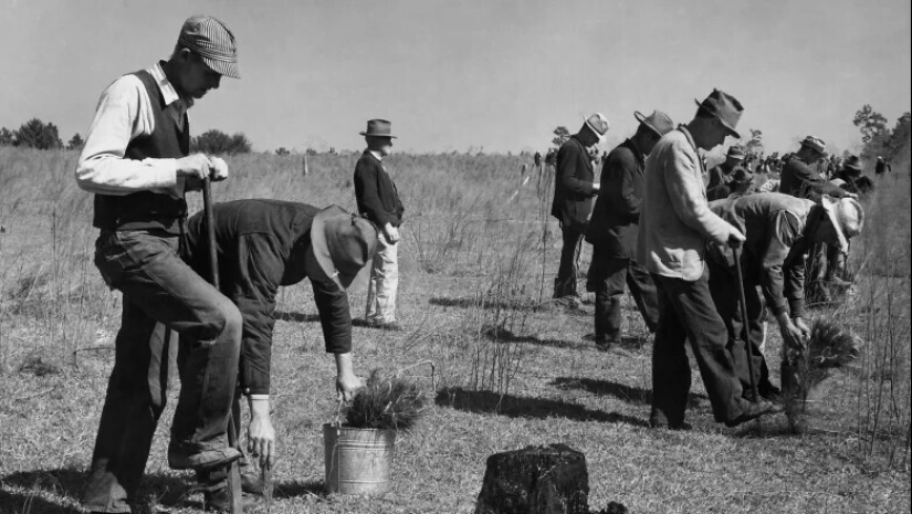 Supermercado, spam, guitarra eléctrica, y 7 otras cosas que surgieron gracias a la Gran Depresión Supermercado, spam, guitarra eléctrica, y 7 otras cosas que surgieron gracias a la Gran Depresión