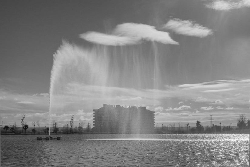 Supernatural coincidences in nature by Denis Carima